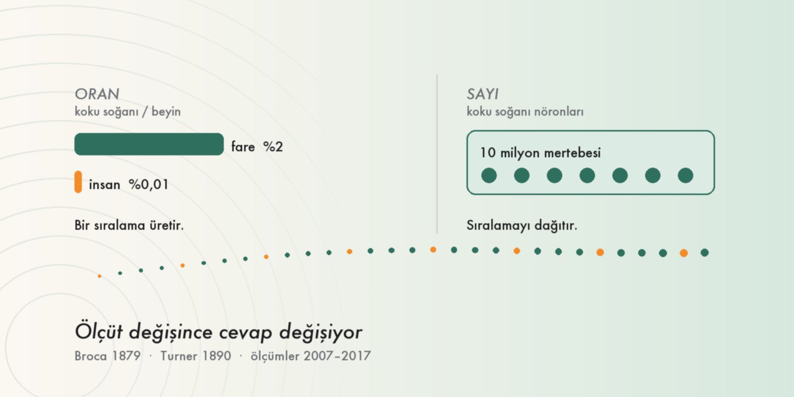 Köpekler bizden daha iyi mi koku alır?