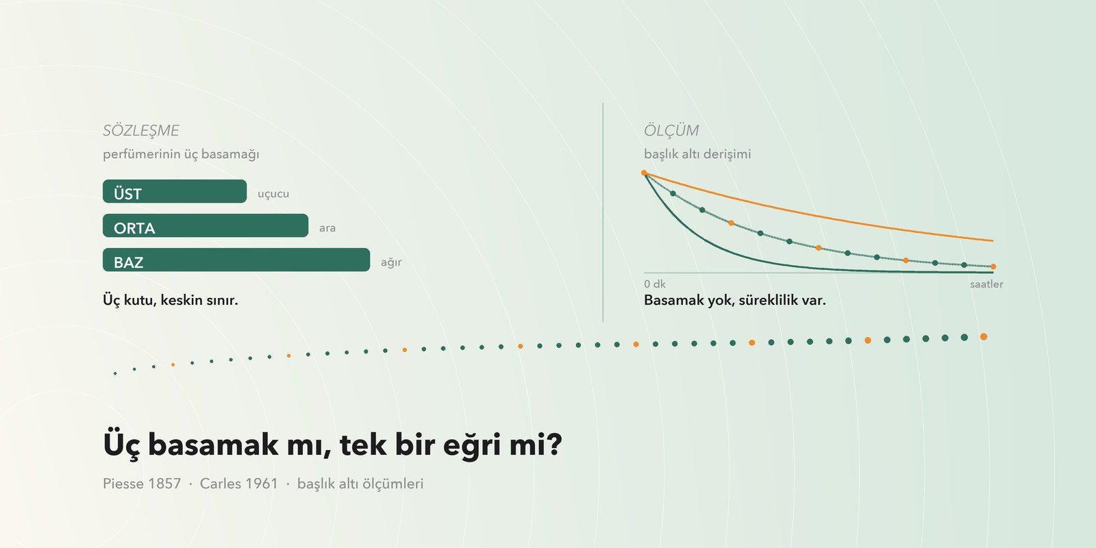 Koku notaları nedir? Üst, orta ve baz nota gerçekten üç katman mı?
