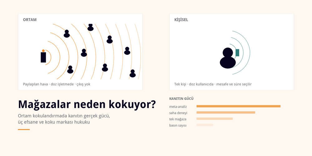 Mağazalar Neden Kokuyor?