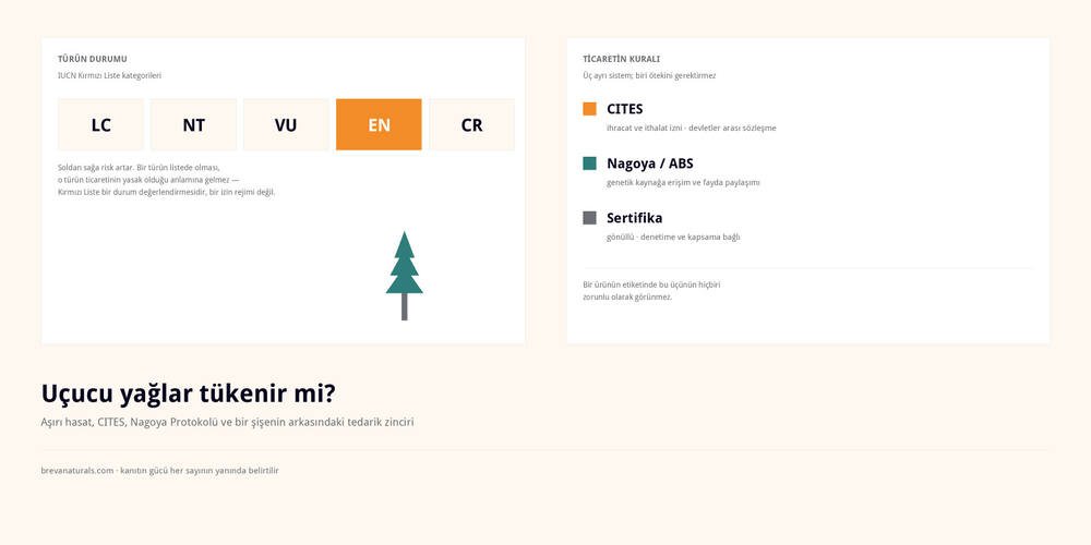 Uçucu Yağlar Tükenir mi?