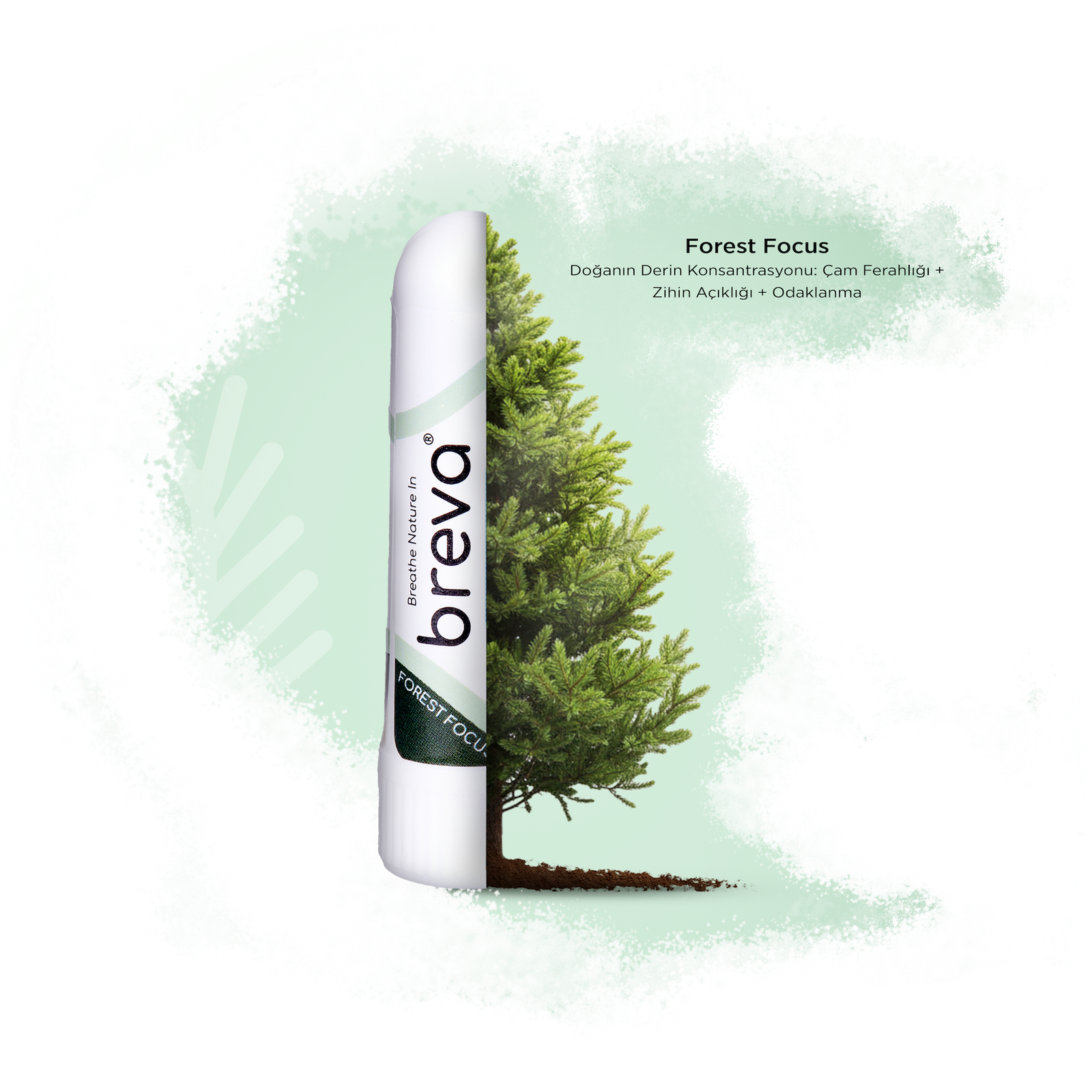 Breva Forest Focus — doğanın derin konsantrasyonu